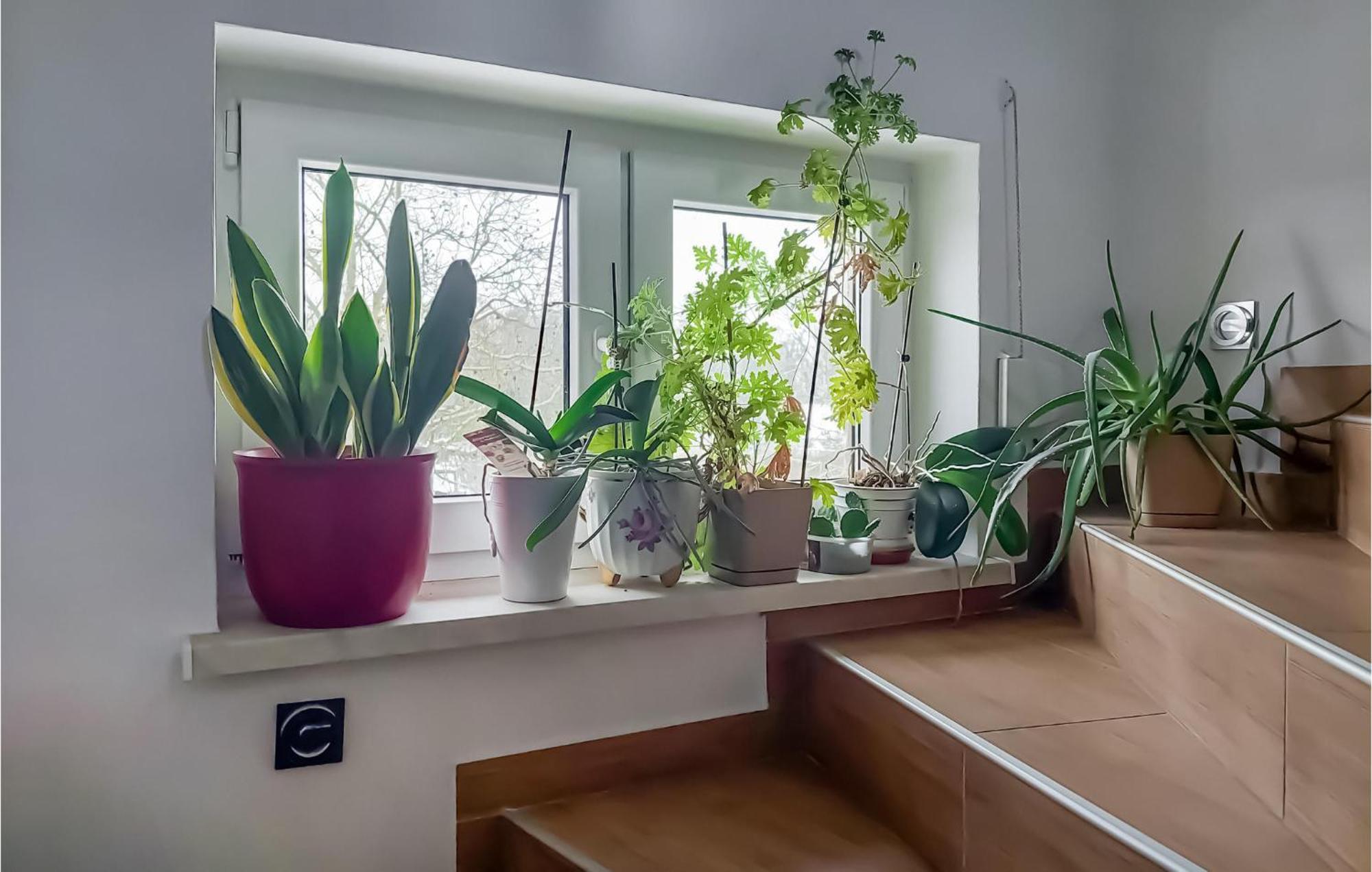 Beautiful Apartment In Moryn With Kitchen Eksteriør billede
